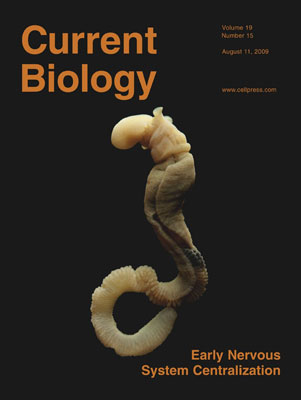 Current Biology Vol 19 Issue 15 2009-08